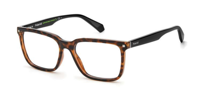 PLD D436 Polaroid Glasses