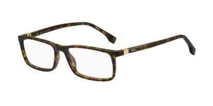 BOSS1493 Hugo Boss Glasses