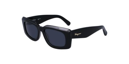 SF1079S