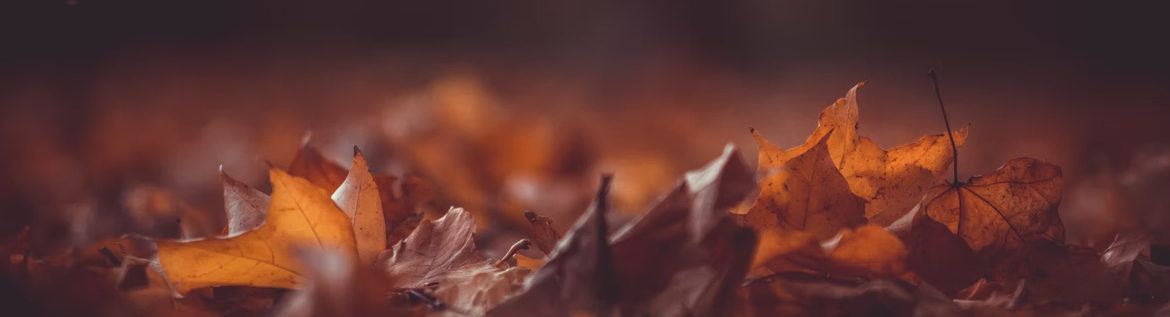 Autumn & Winter Eyewear Trends For 2021