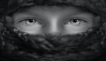 Your Eyes And How They Work